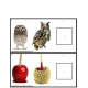 AUTUMN Task Cards for NON-READERS - WHAT BELONGS Special Education/ELL/Autism